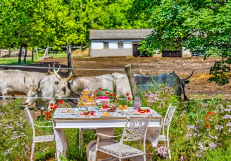 Farmhouse retus meleg 40 A4398 web
